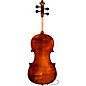 Eastman Samuel Eastman VL145 Series+ Violin 4/4