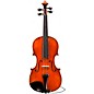 Eastman Albert Nebel VL601 Series+ Violin 4/4 thumbnail