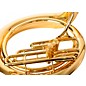 Adams MSP1 Series BBb Sousaphone (Instrument Only) Lacquer