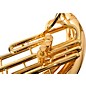 Adams MSP1 Series BBb Sousaphone (Instrument Only) Lacquer