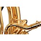 Adams MSP1 Series BBb Sousaphone (Instrument Only) Lacquer