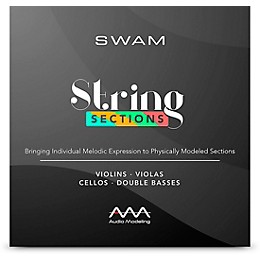Audio Modeling ILIO SWAM String Sections Download