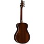 Breedlove Premier Companion Red Cedar-Brazilian Limited-Edition Acoustic-Electric Guitar Natural