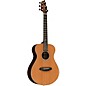 Breedlove Premier Companion Red Cedar-Brazilian Limited-Edition Acoustic-Electric Guitar Natural