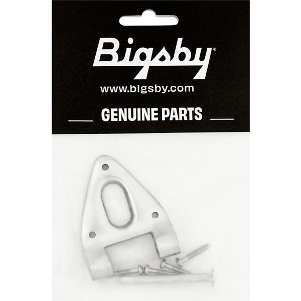 Bigsby B6 Conventional Hinge with Pin and Screws Aluminum