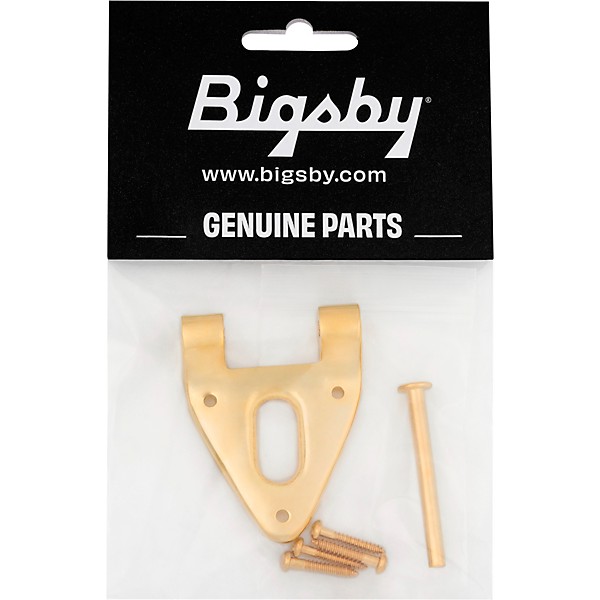 Bigsby B6 Conventional Hinge with Pin and Screws Gold