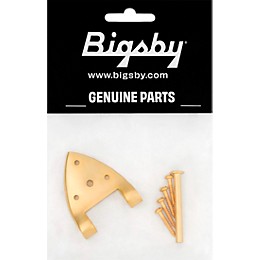 Bigsby B3C/B6C Hinge with Pin and Screws Gold