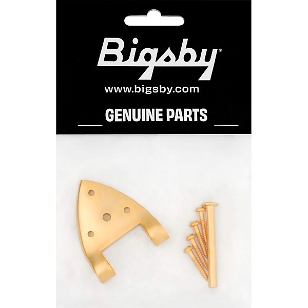 Bigsby B3C/B6C Hinge with Pin and Screws Gold