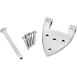 Bigsby B3C/B6C Hinge with Pin and Screws Steel