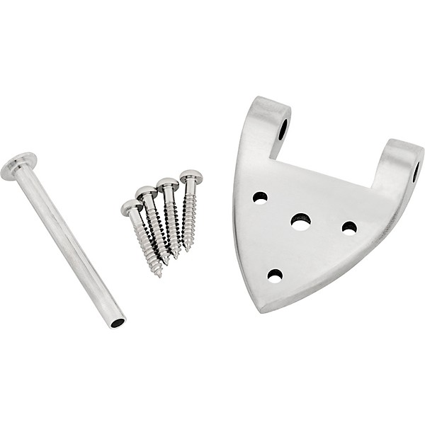 Bigsby B3C/B6C Hinge with Pin and Screws Steel