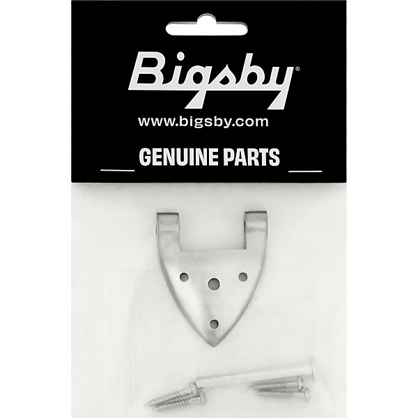 Bigsby B3C/B6C Hinge with Pin and Screws Steel