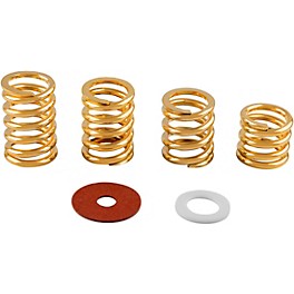 Bigsby Spring and Washer Assorted Pack Steel Bigsby Spring and Washer Assorted Pack Gold