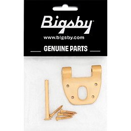 Bigsby Extra Short Hinge with Pin and Screws Gold