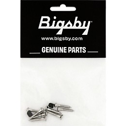 Bigsby Assorted Screw Pack Steel