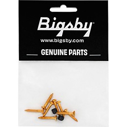 Bigsby Assorted Screw Pack Gold