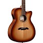 Alvarez AF60CE Folk-OM Acoustic-Electric Guitar Shadow Burst thumbnail