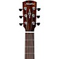 Alvarez AEG99CE Grand Auditorium Acoustic-Electric Guitar Shadow Burst