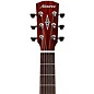 Alvarez AF70E Folk-OM Acoustic-Electric Guitar Natural