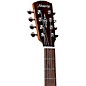 Alvarez AG60CE 8-String Grand Auditorium Acoustic-Electric Guitar Shadow Burst