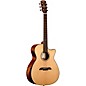 Alvarez AG60CE Grand Auditorium Acoustic-Electric Guitar Natural