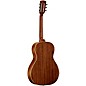 Alvarez MP60E Parlor Acoustic-Electric Guitar Shadow Burst