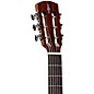 Alvarez MP60E Parlor Acoustic-Electric Guitar Shadow Burst