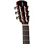 Alvarez MP70E Parlor Acoustic-Electric Guitar Natural