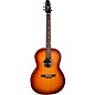 Seagull Entourage Folk Acoustic Guitar Rustic Burst