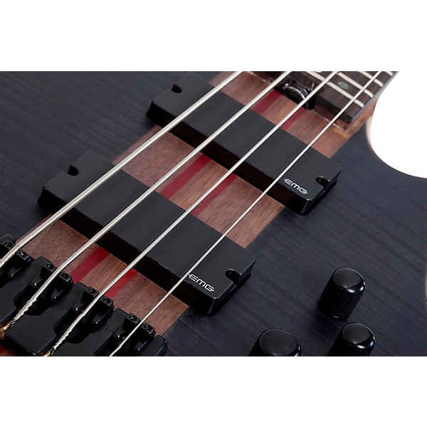 Schecter Guitar Research Charles Berthoud CB-4 Electric Bass See Thru Black Satin