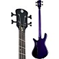 Spector NS Dimension HP 4 Four-String Multi-scale Electric Bass Plum Crazy Gloss