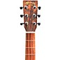 Martin GPCX2E X Series Ziricote Grand Performance Acoustic-Electric Guitar Natural