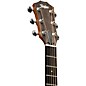 Taylor 117e Grand Pacific Left-Handed Acoustic-Electric Guitar Natural