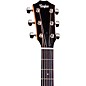 Taylor 214ce Plus Grand Auditorium Acoustic-Electric Guitar Natural