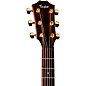 Taylor AD14ce 50th Anniversary Limited-Edition Grand Auditorium Acoustic-Electric Guitar Tobacco Sunburst