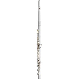 Giardinelli GFL11GS Open Hole Low B Performance Level Flute Offset G B-Foot