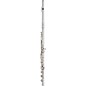 Giardinelli GFL11GS Open Hole Low B Performance Level Flute Offset G B-Foot thumbnail