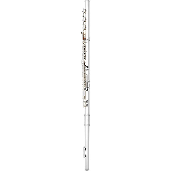 Giardinelli GFL11GS Open Hole Low B Performance Level Flute Offset G B-Foot