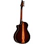 Breedlove Legacy Redwood-Cocobolo Cutaway Concert Acoustic-Electric Guitar Shadowburst