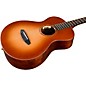 Breedlove Legacy Redwood-Cocobolo Cutaway Concertina Acoustic-Electric Guitar Cinnamon Burst