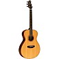 Breedlove Legacy Sunken Red Cedar-Ovangkol Thinline Concert Acoustic-Electric Guitar Natural