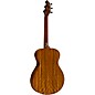 Breedlove Legacy Sunken Red Cedar-Ovangkol Thinline Concert Acoustic-Electric Guitar Natural