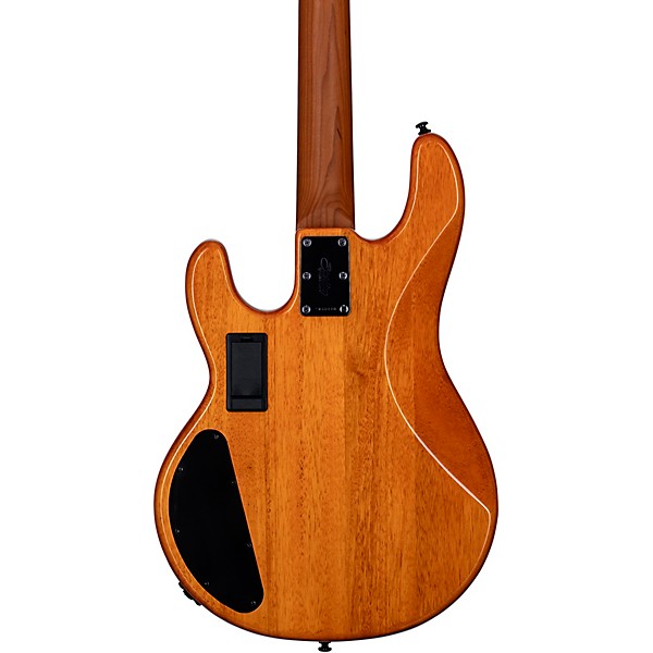 STERLING RAY 34HH SERIES - POPLAR BURL AMBER- RW - W/GIG BAG - 4 STRING  BASS - STERLING BY MUSIC MAN Rockshop