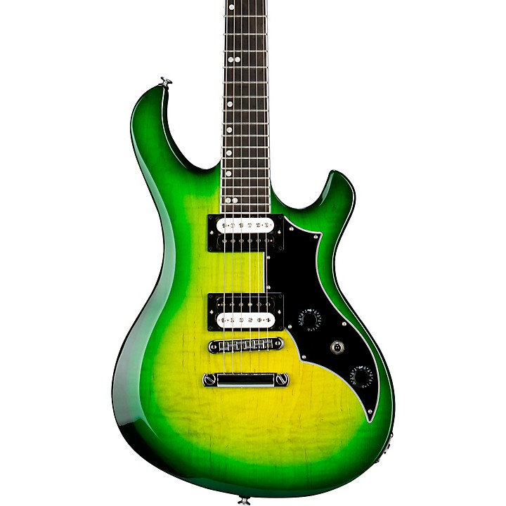 訳あり Victory Gibson Figured Guitar | Burst Iguana Guitar Electric ギター