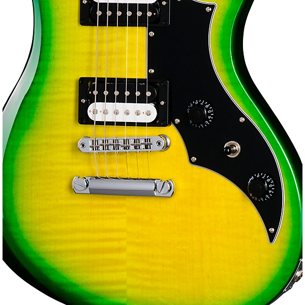 Gibson Victory Figured Electric Guitar Iguana Burst