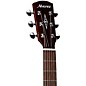 Alvarez AMP610E2 Parlor Acoustic-Electric Guitar Shadowburst