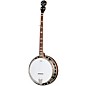 Epiphone Mastertone Classic Resonator Banjo Natural