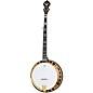 Epiphone Earl Scruggs Signature Golden Deluxe Resonator Banjo Natural