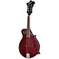 Epiphone F-5 Studio F-Style Mandolin Wine Red Satin