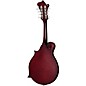 Epiphone F-5 Studio F-Style Mandolin Wine Red Satin