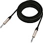 Behringer Gold Performance Straight to Straight Instrument Cable with 1/4" TS Connectors 32.8 ft. Black